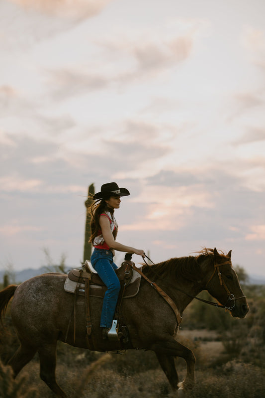 Groovy Girl: From Fuzzy Foal to Ranch Royalty