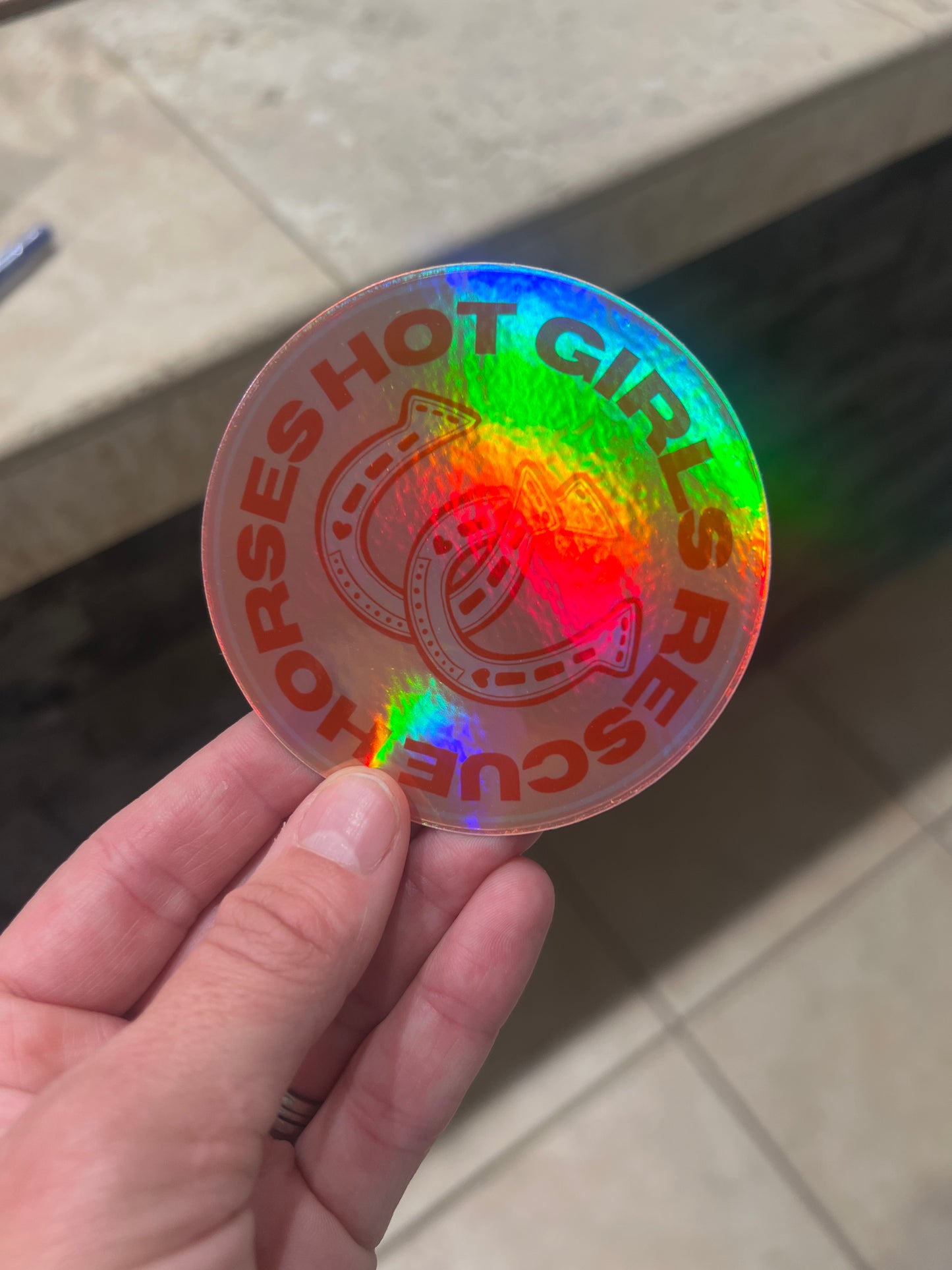 Hot Girls Rescue Horses Holo Sticker